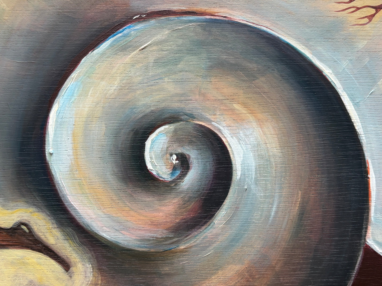 Womb