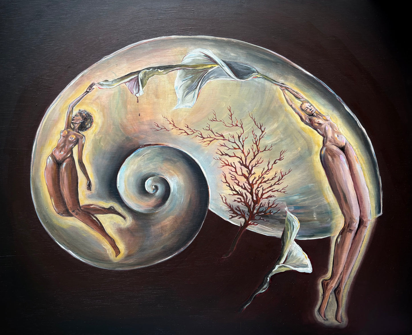 Womb
